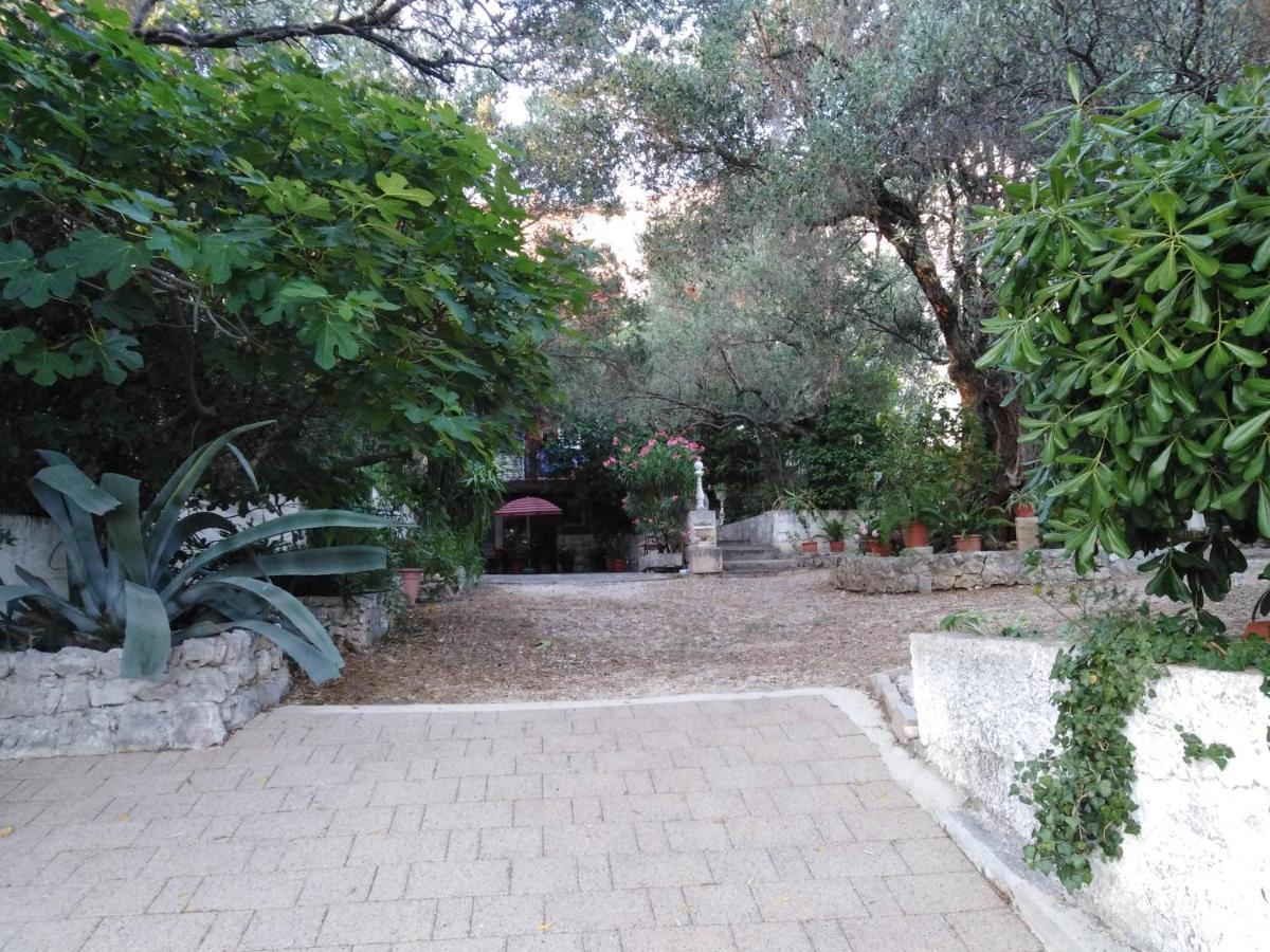 דירות מאקרסקה Leo מראה חיצוני תמונה